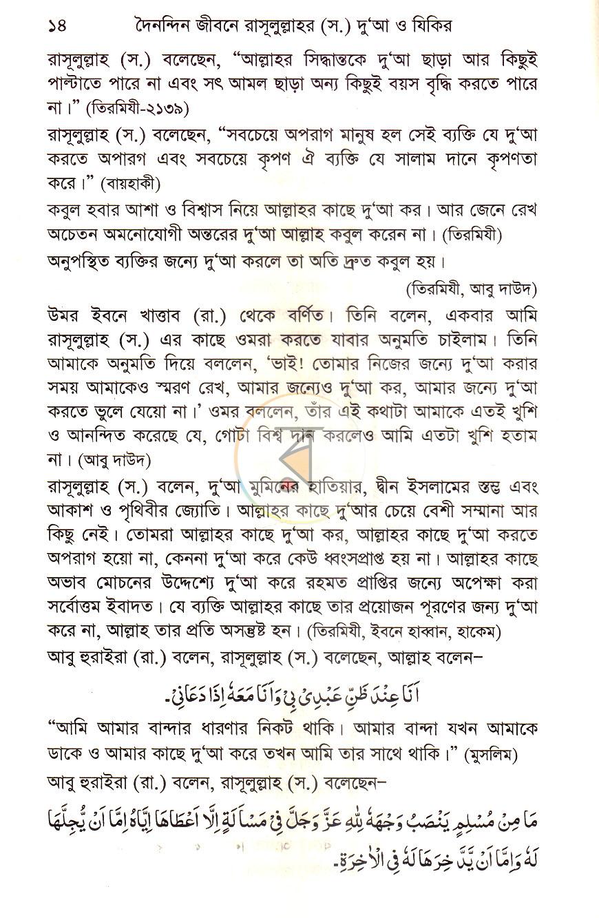 পাতা 11