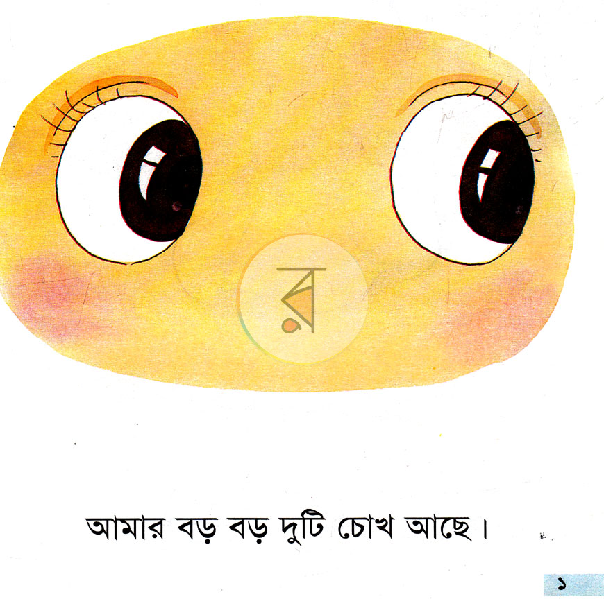 পাতা 1