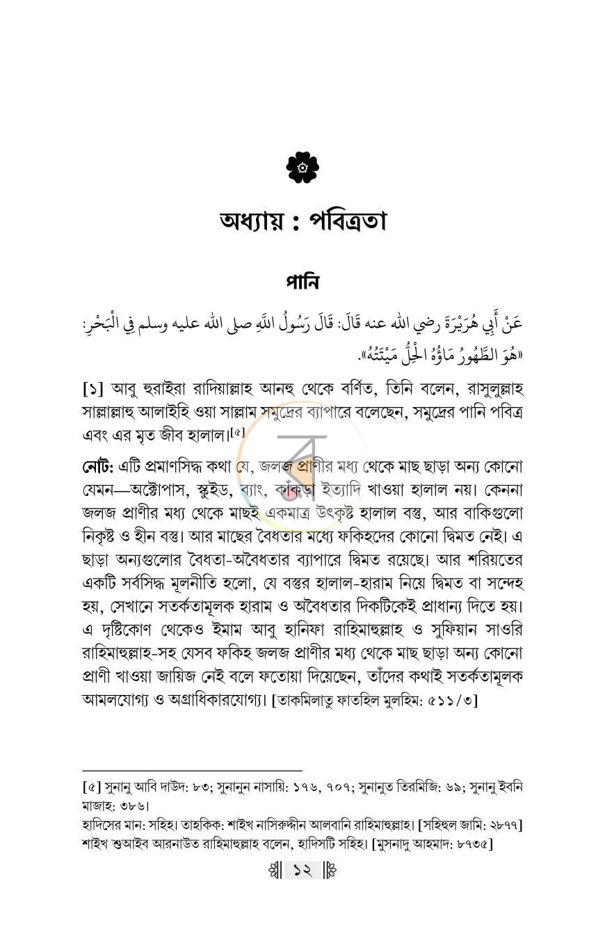 পাতা 9