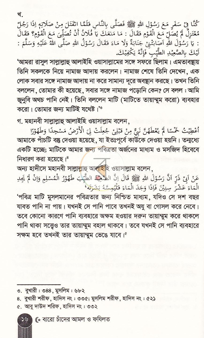 পাতা 13