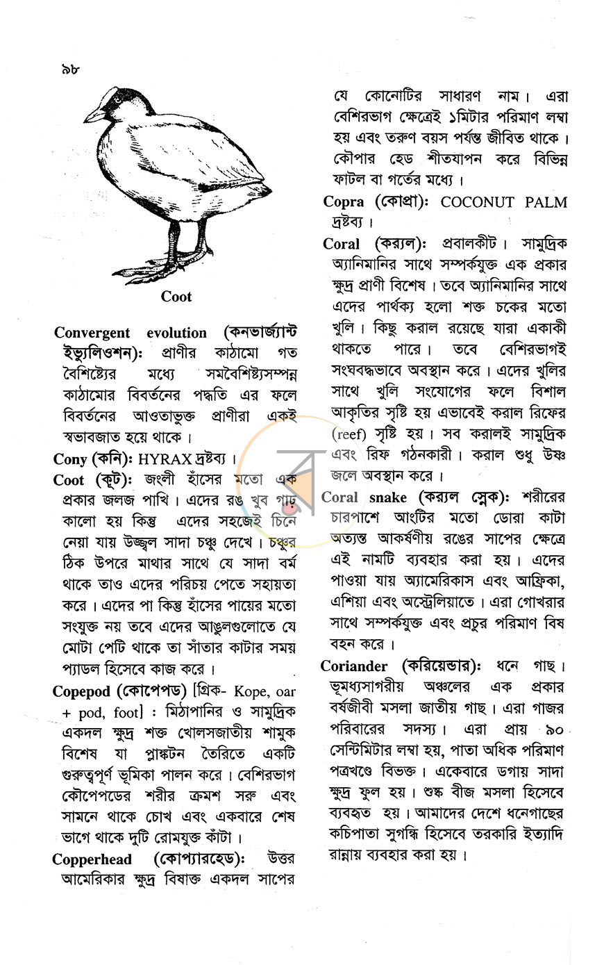 পাতা 14
