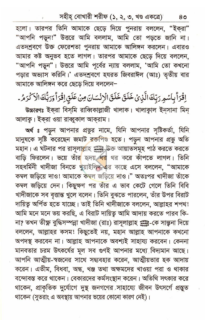পাতা 11