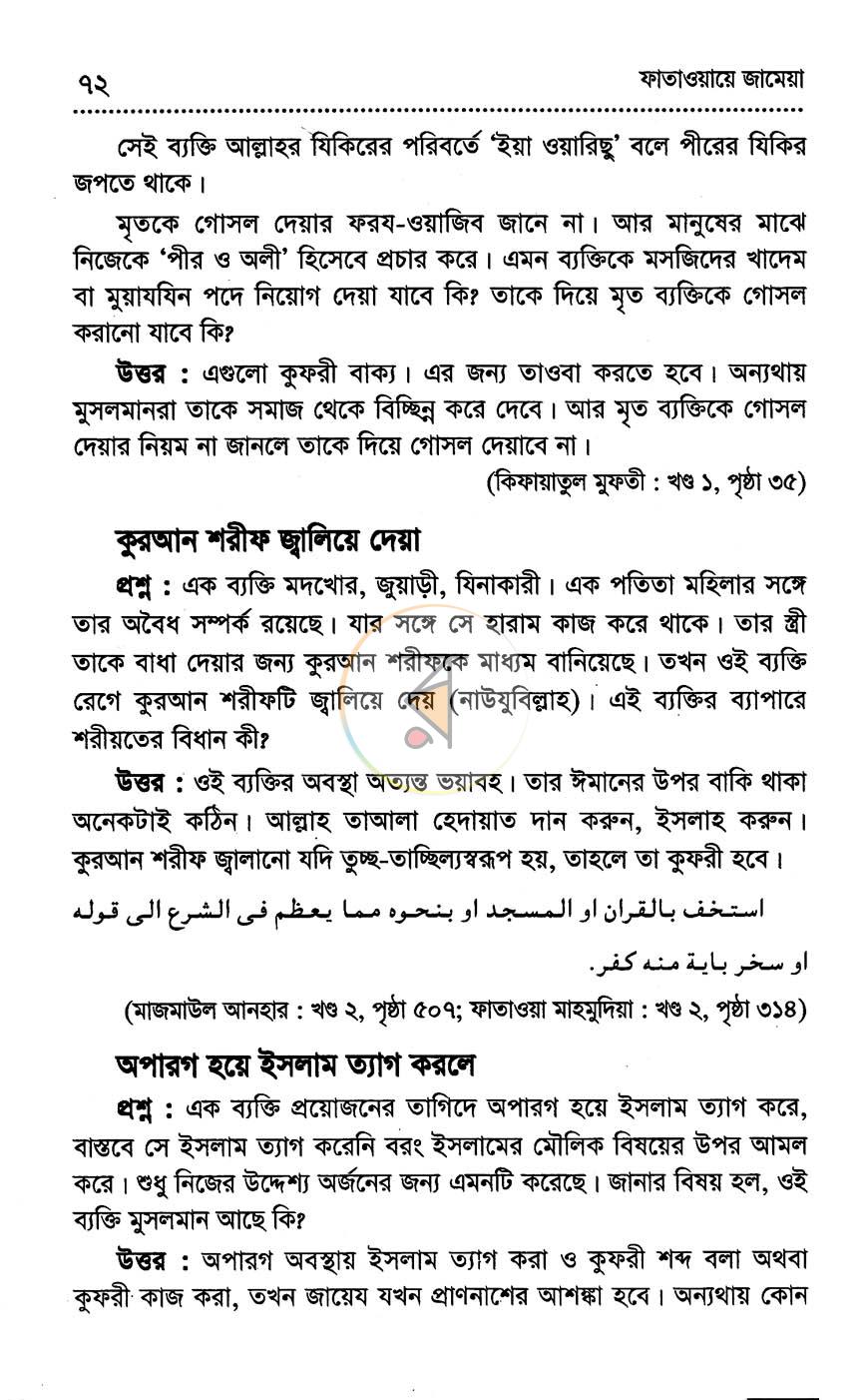 পাতা 13