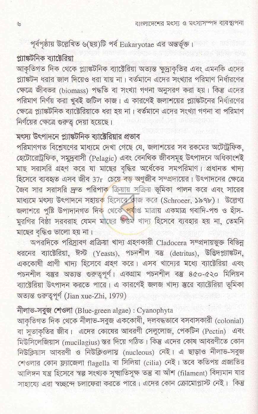 পাতা 10