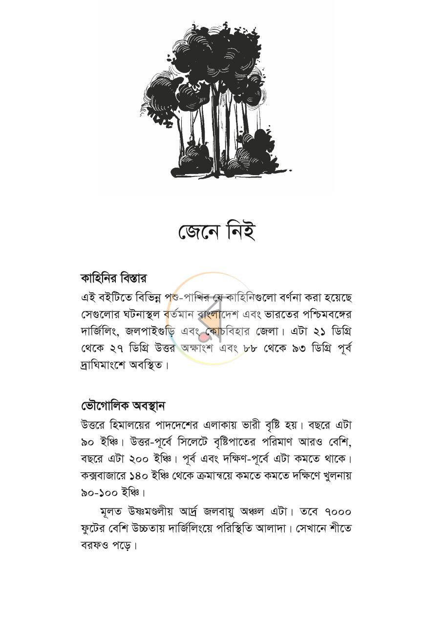 পাতা 13