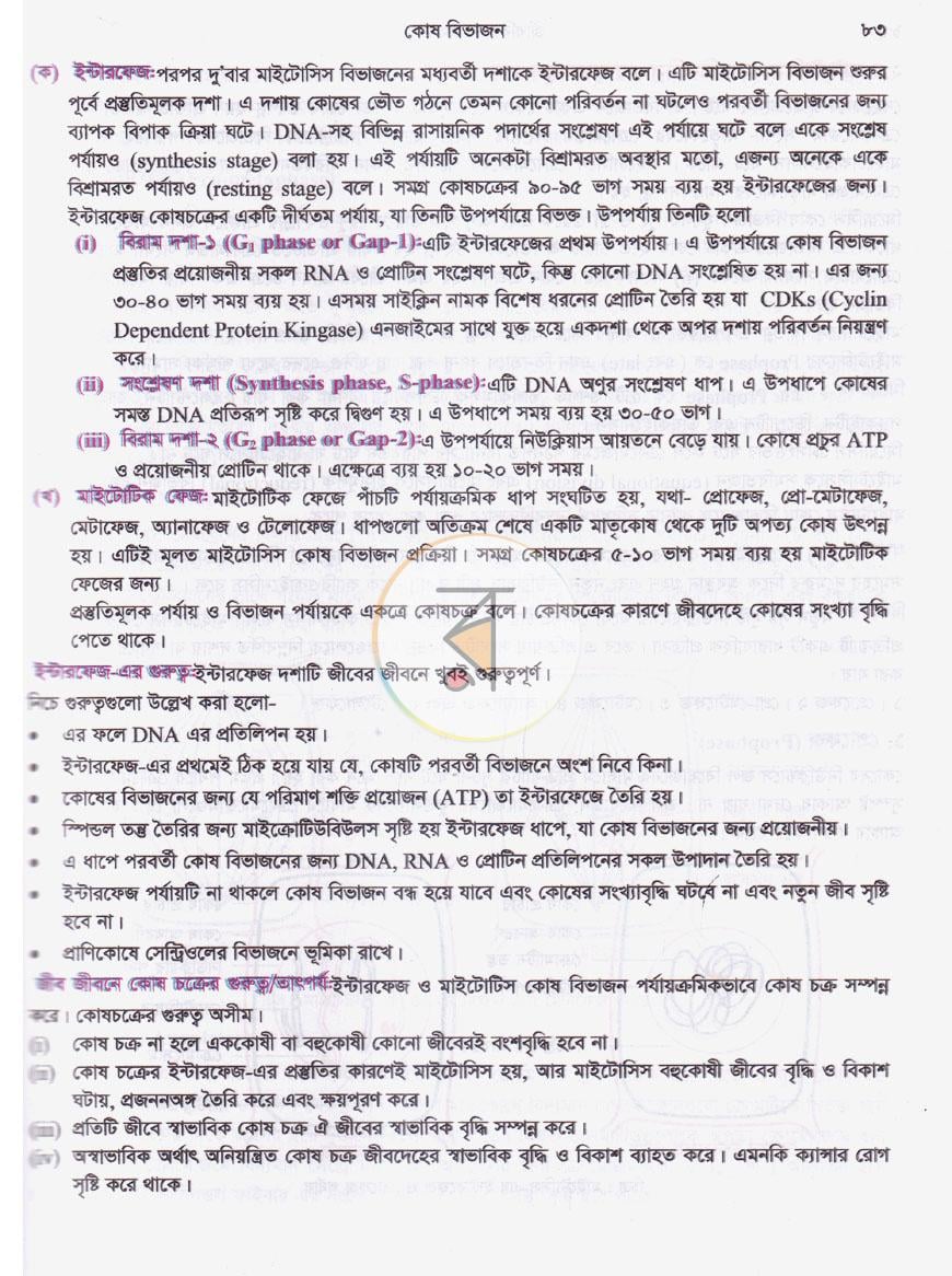 পাতা 10