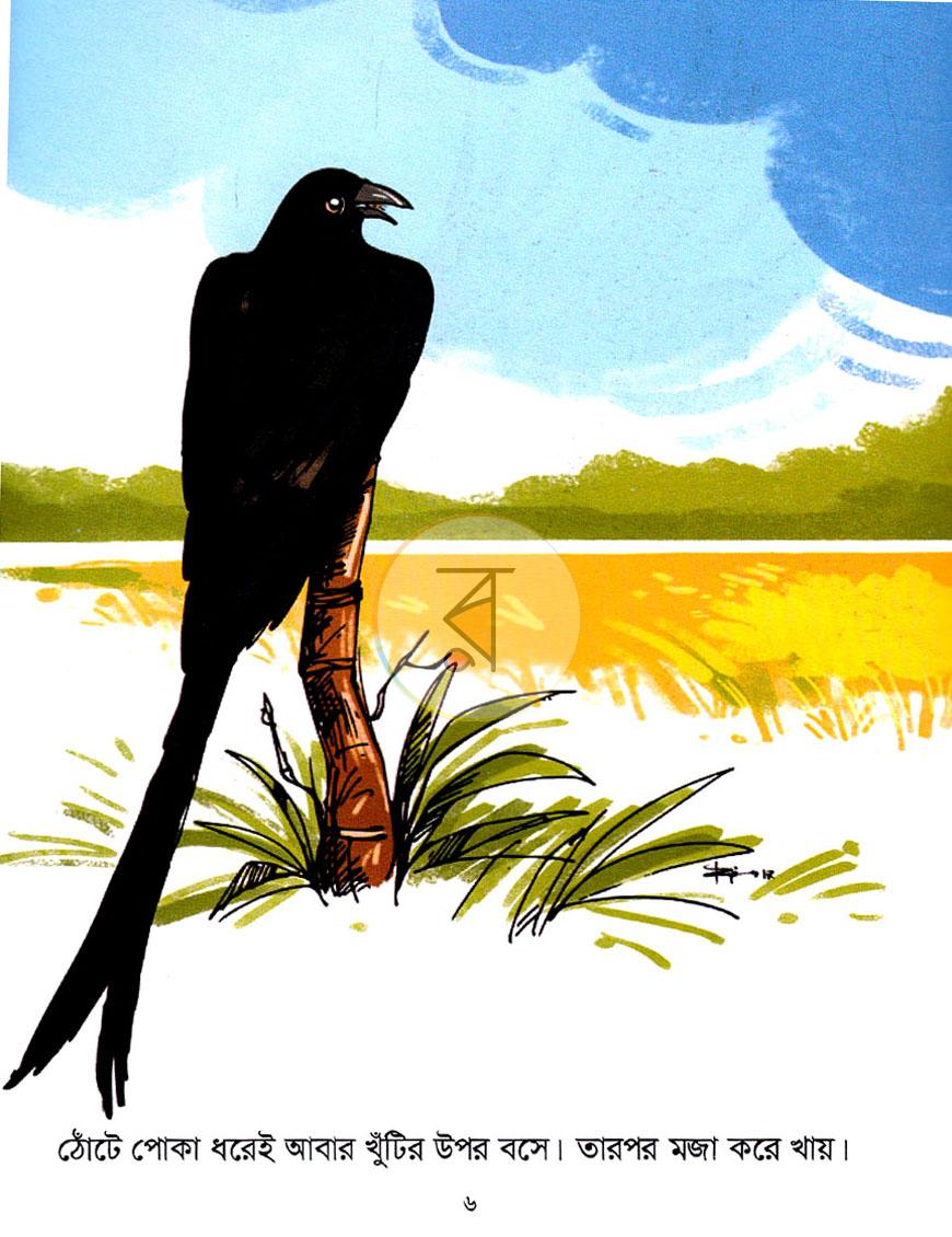 পাতা 6