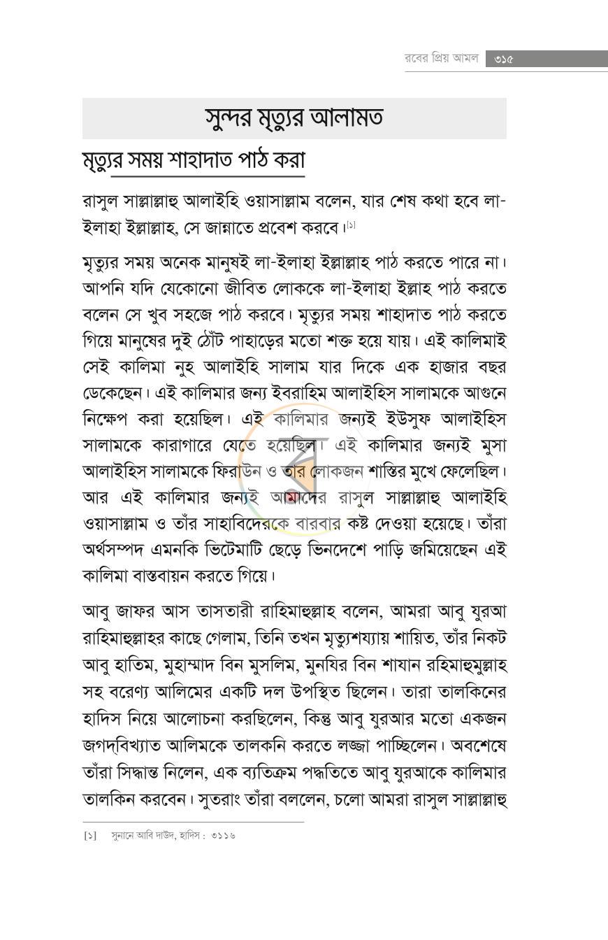 পাতা 22