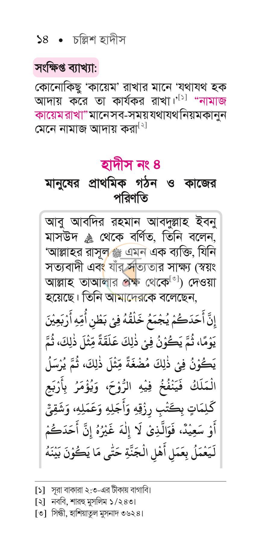 পাতা 13