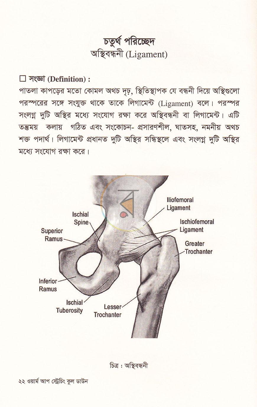 পাতা 16