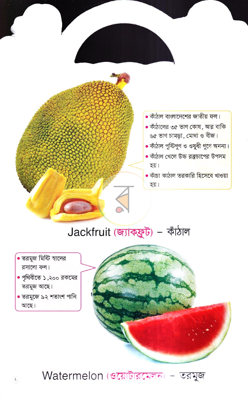 পাতা 1