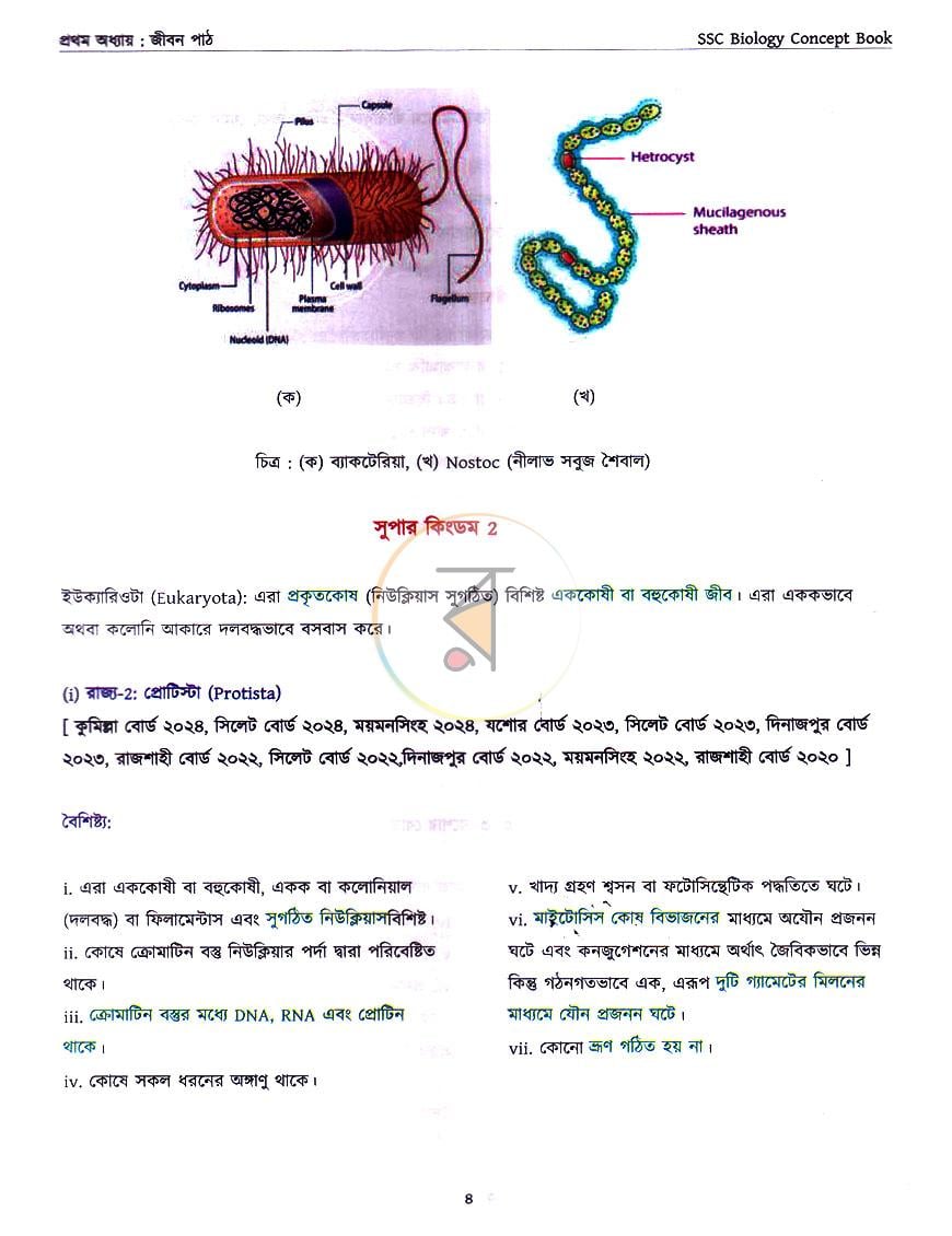 পাতা 5