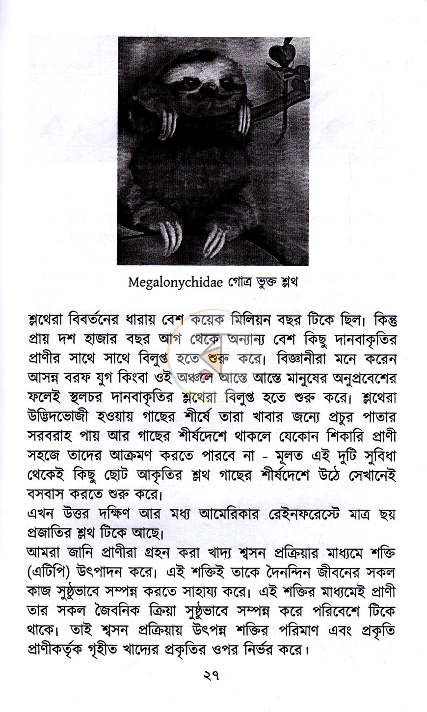 পাতা 12