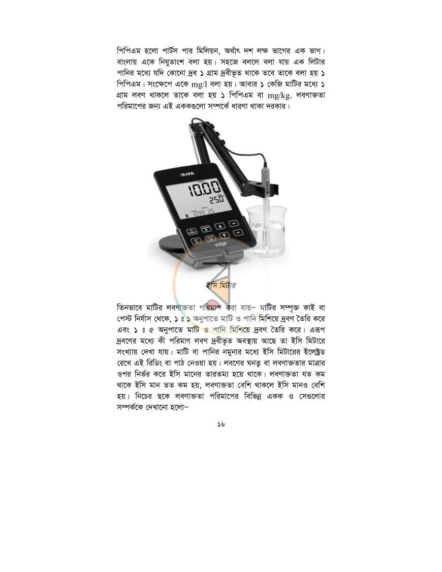 পাতা 13