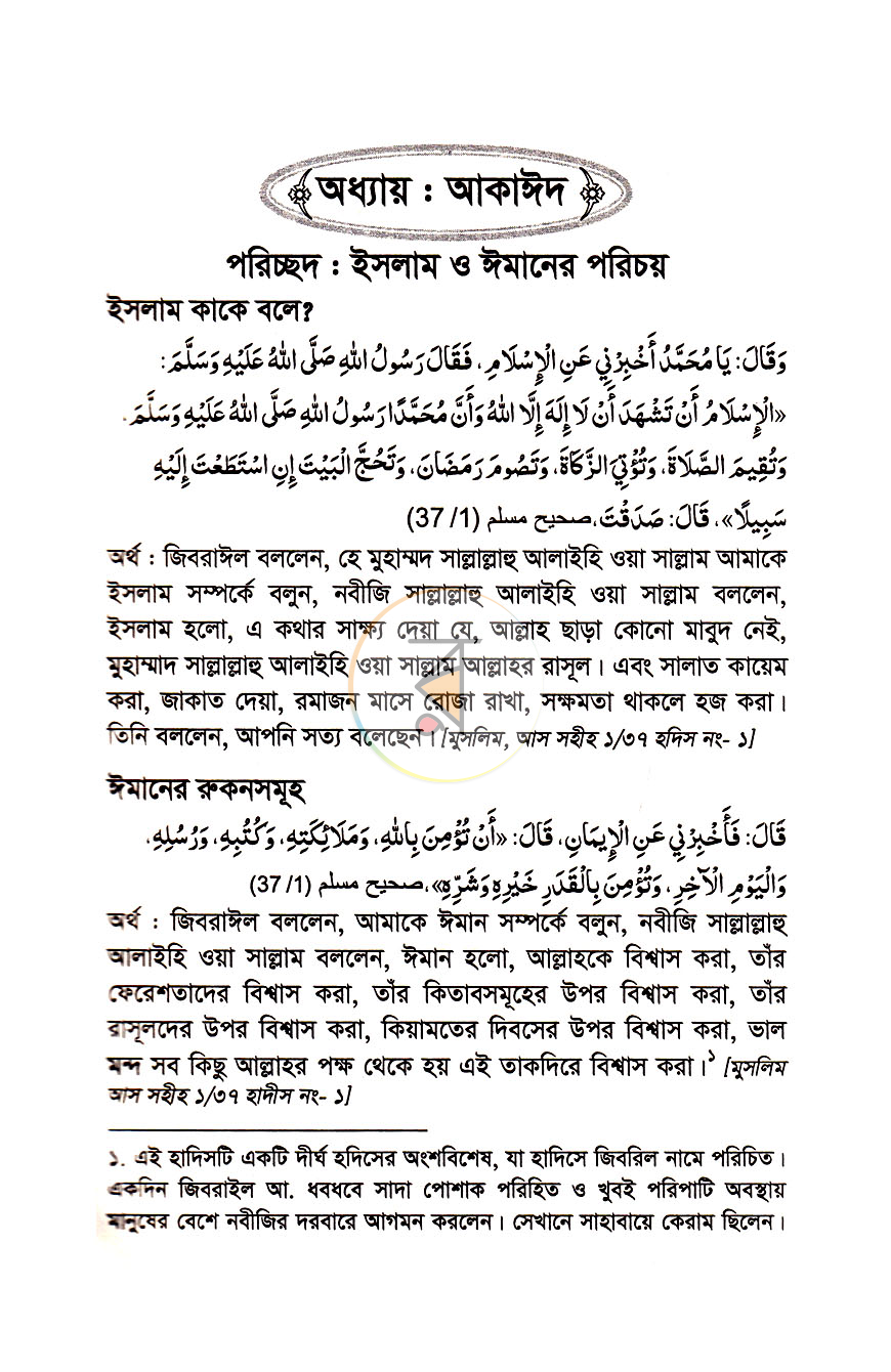 পাতা 9