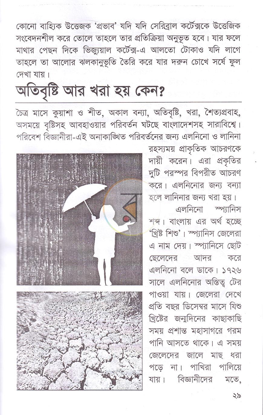 পাতা 13