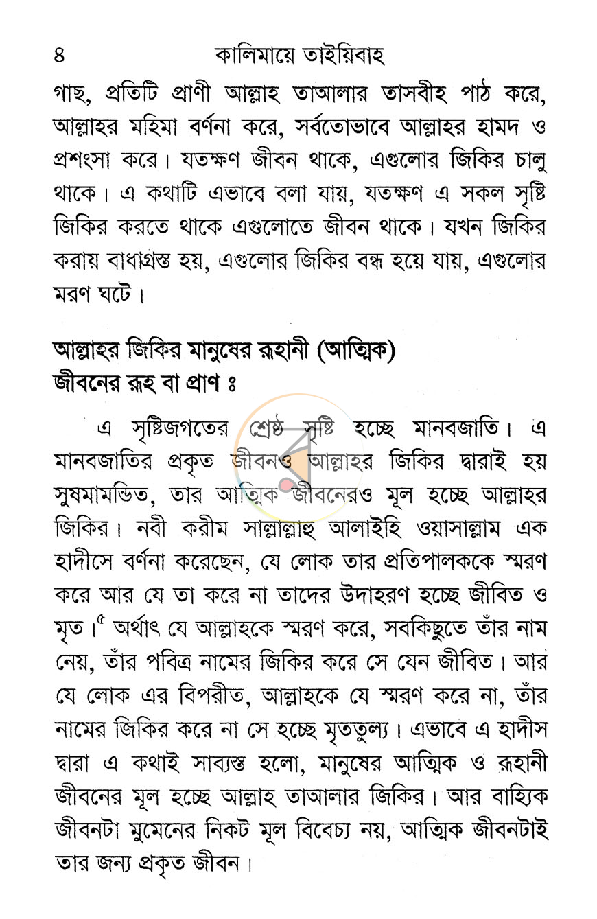 পাতা 8