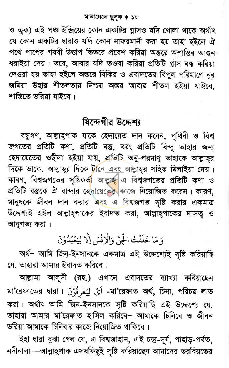 পাতা 11