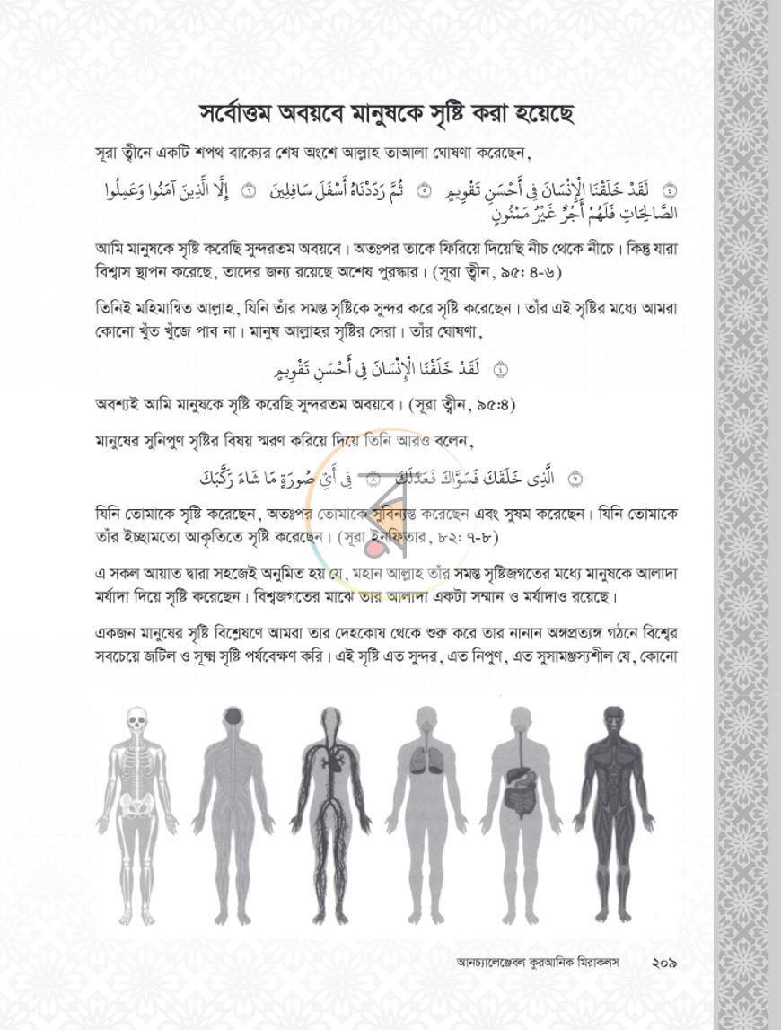 পাতা 13
