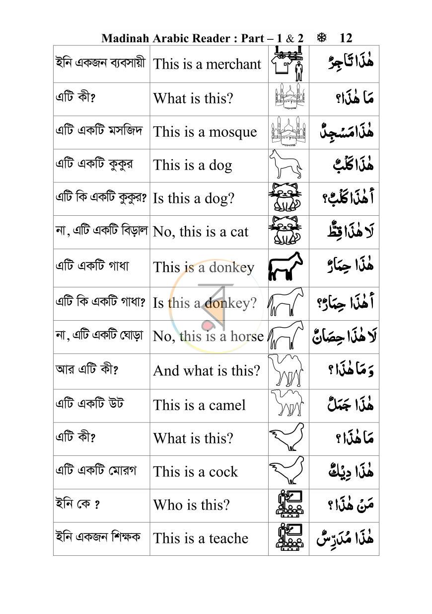 পাতা 11