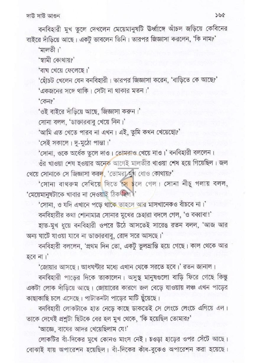 পাতা 13