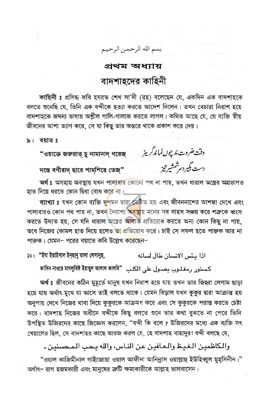 পাতা 11