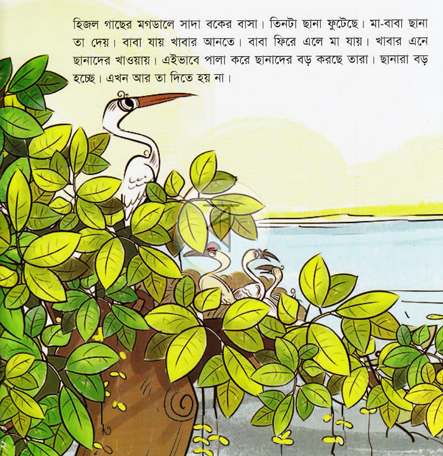 পাতা 1