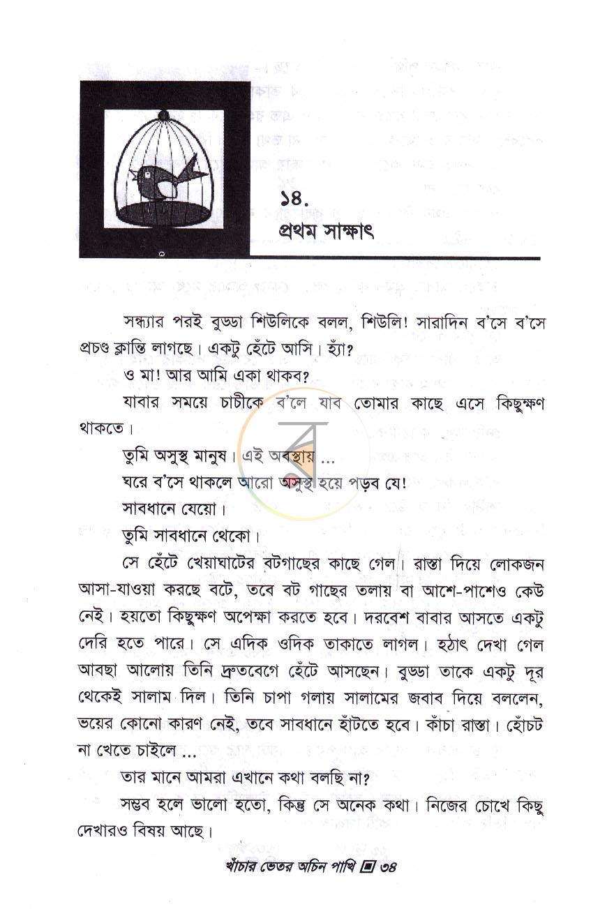 পাতা 11