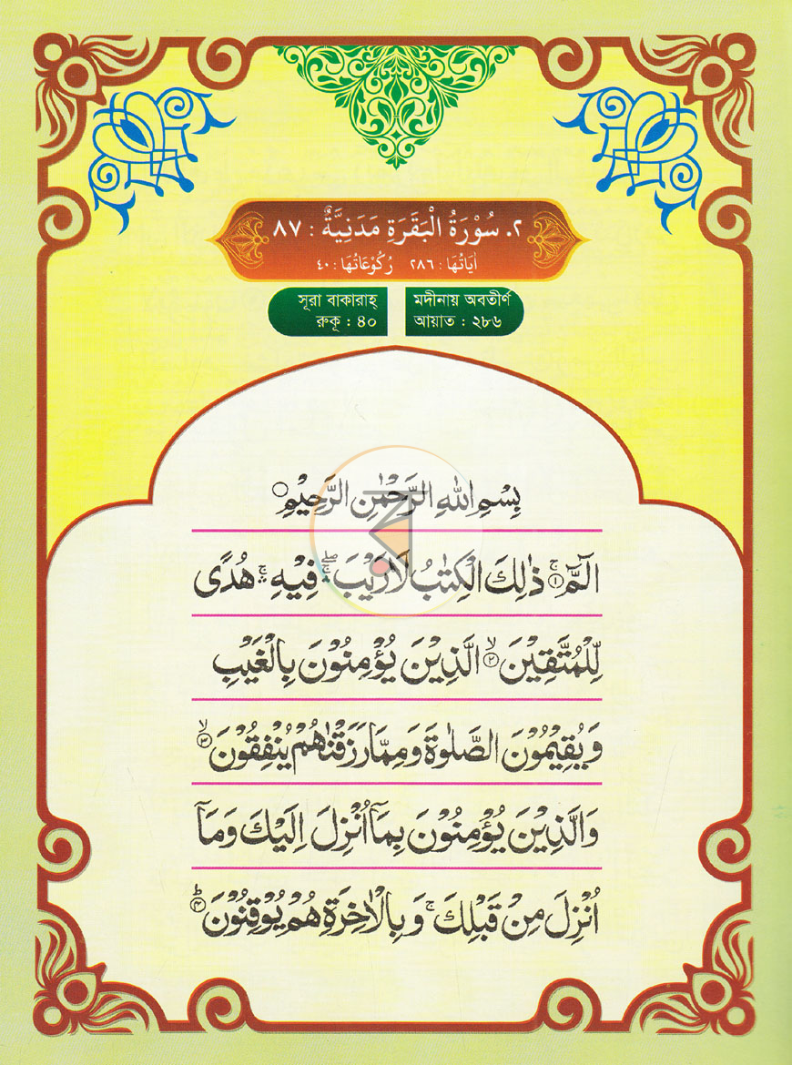 পাতা 6