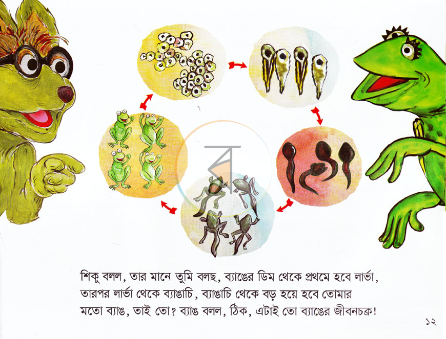পাতা 5