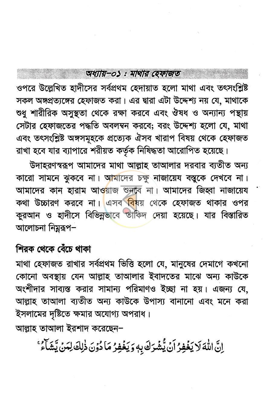 পাতা 13
