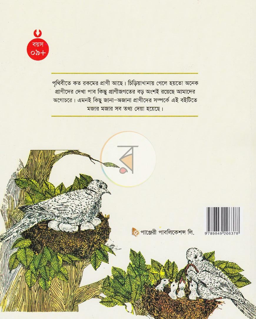 পাতা 6