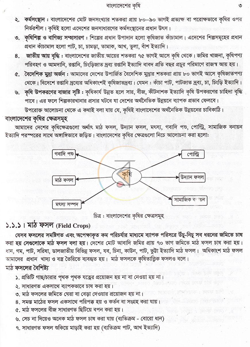 পাতা 10