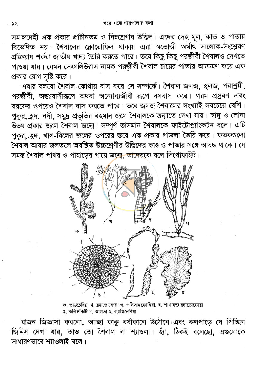 পাতা 7