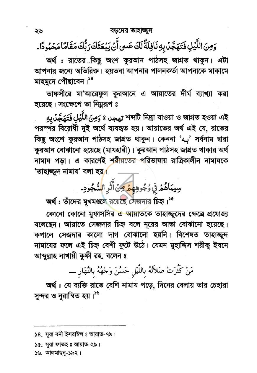 পাতা 13
