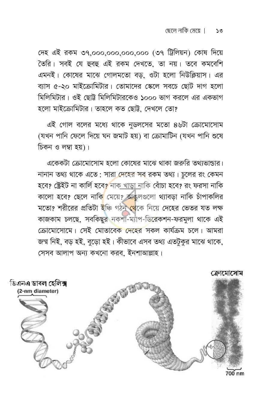 পাতা 6