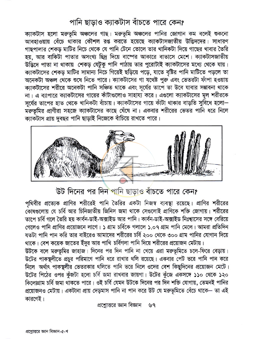পাতা 13