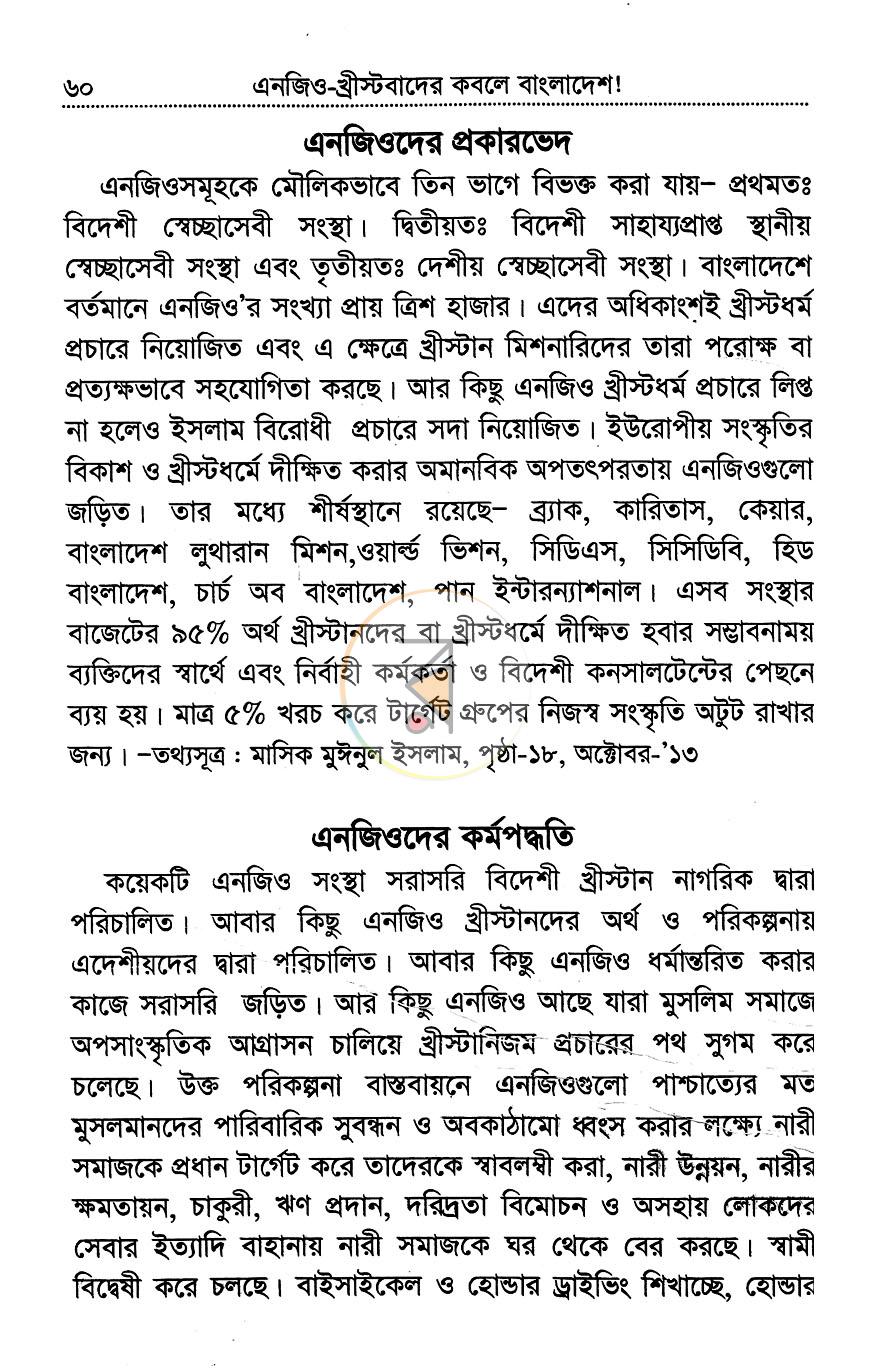 পাতা 13