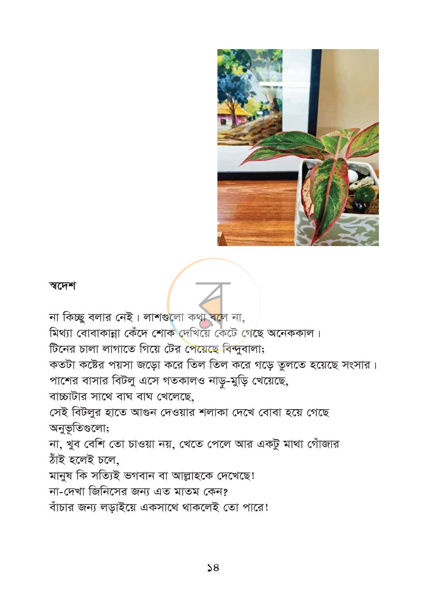 পাতা 8