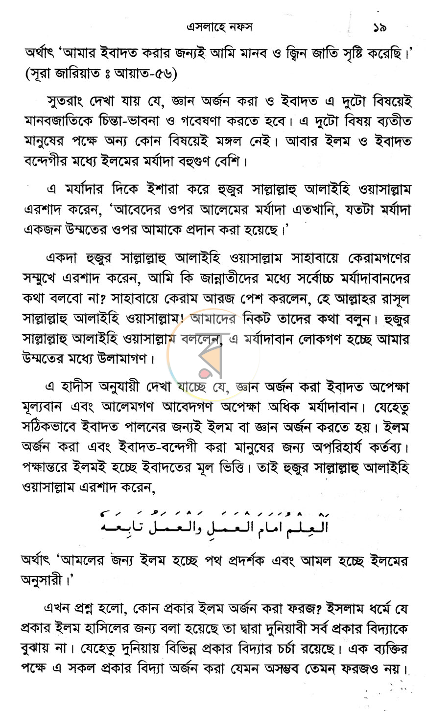 পাতা 13