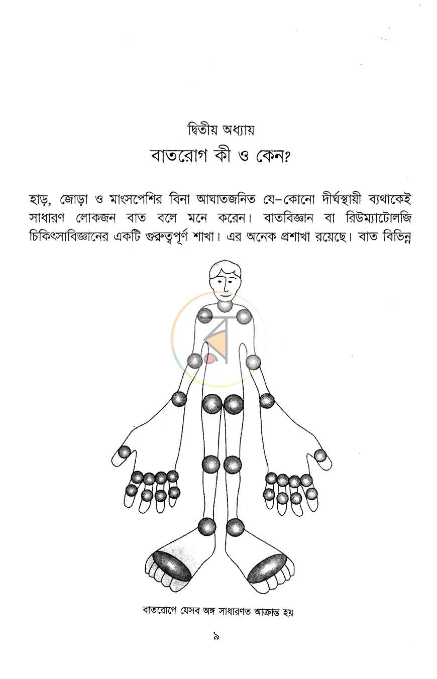 পাতা 11