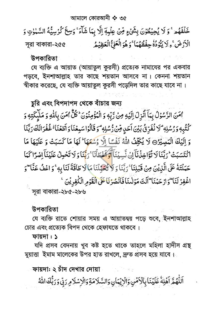 পাতা 10
