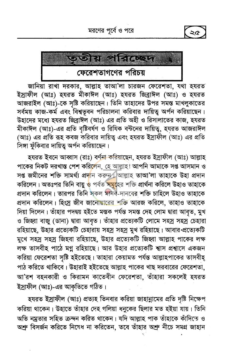 পাতা 13