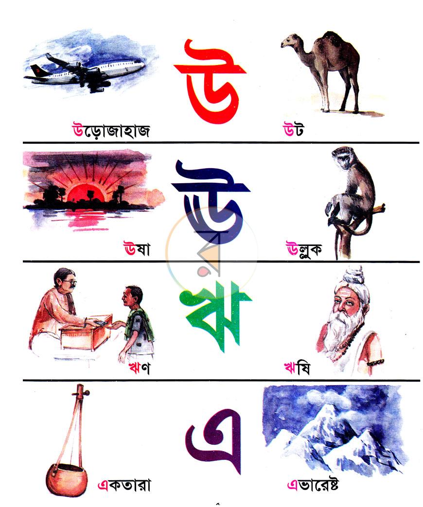 পাতা 5