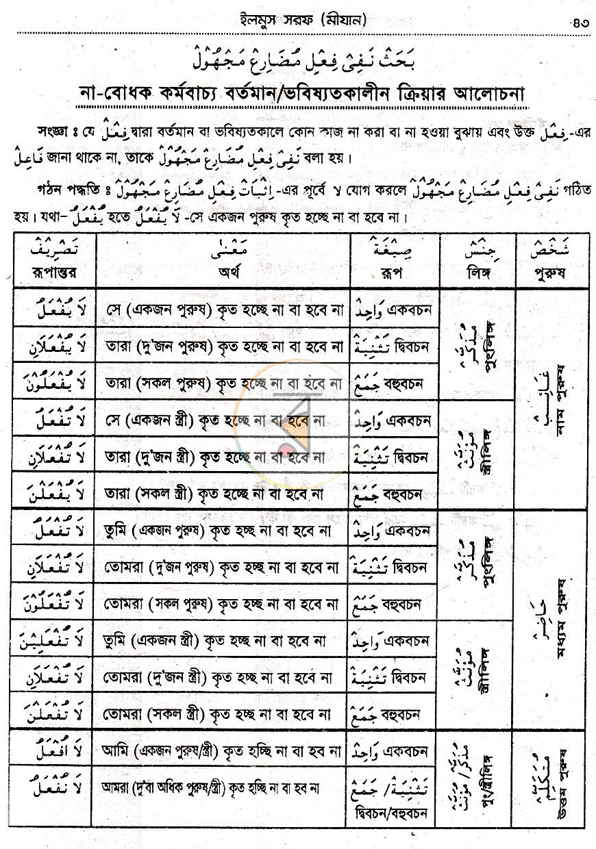 পাতা 13