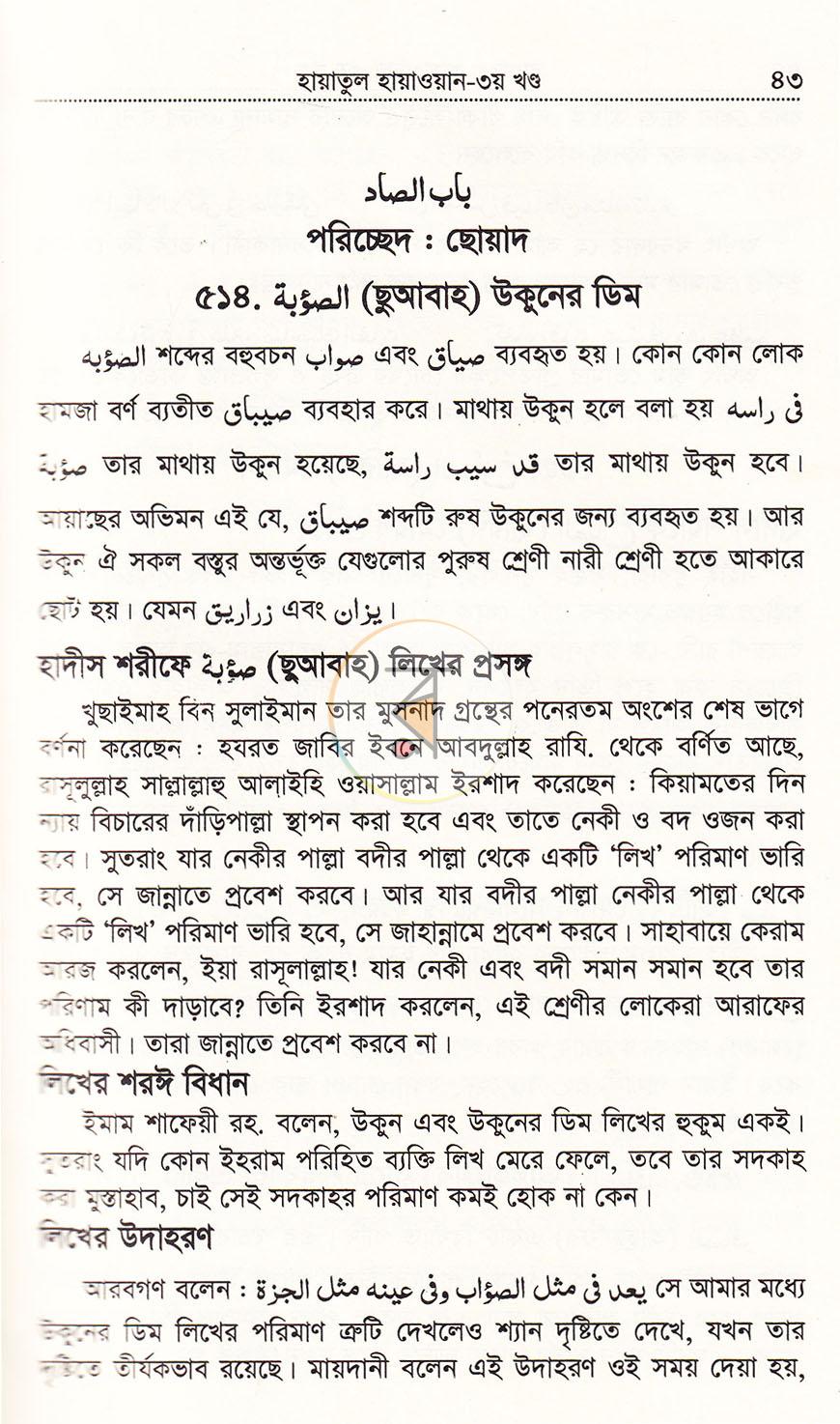 পাতা 13