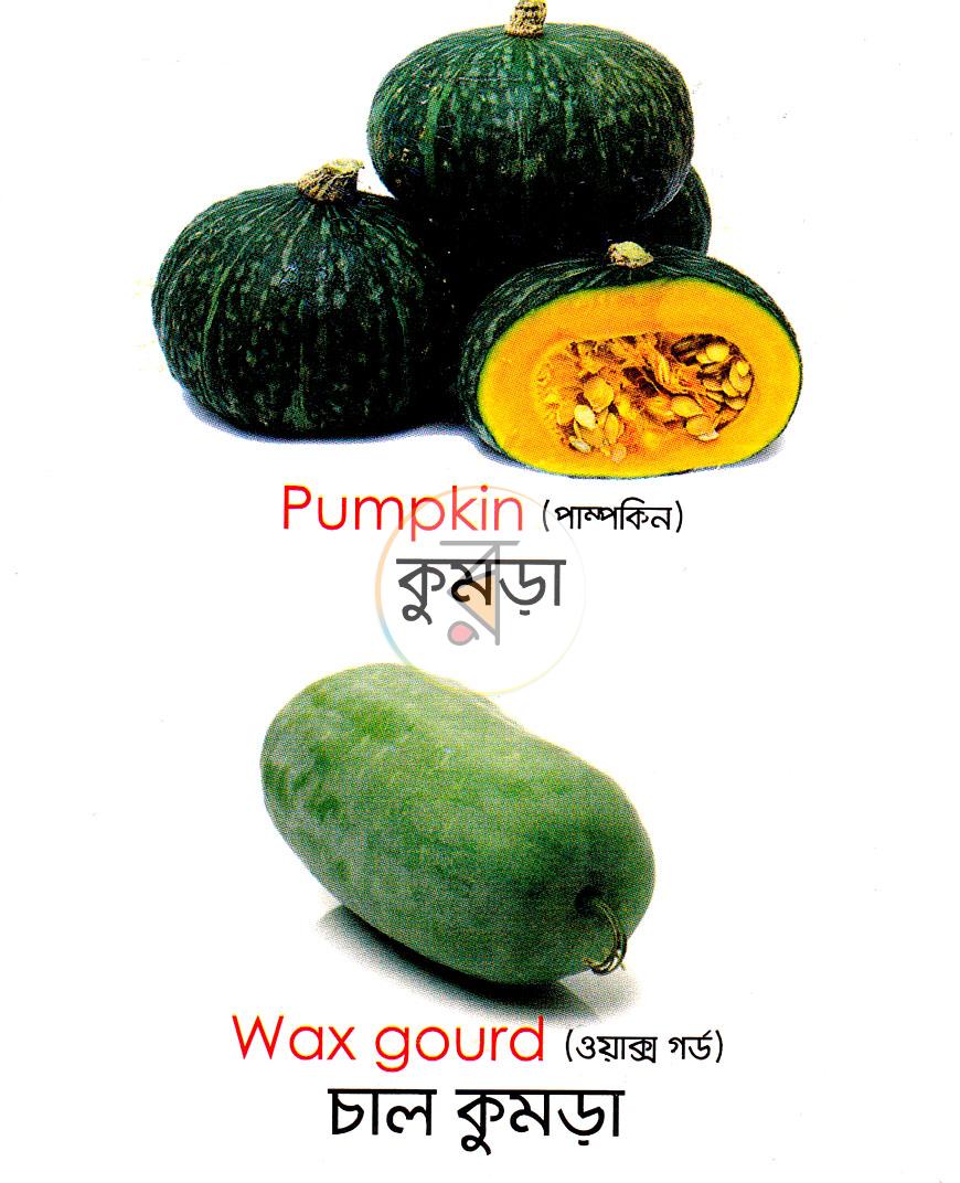 পাতা 14