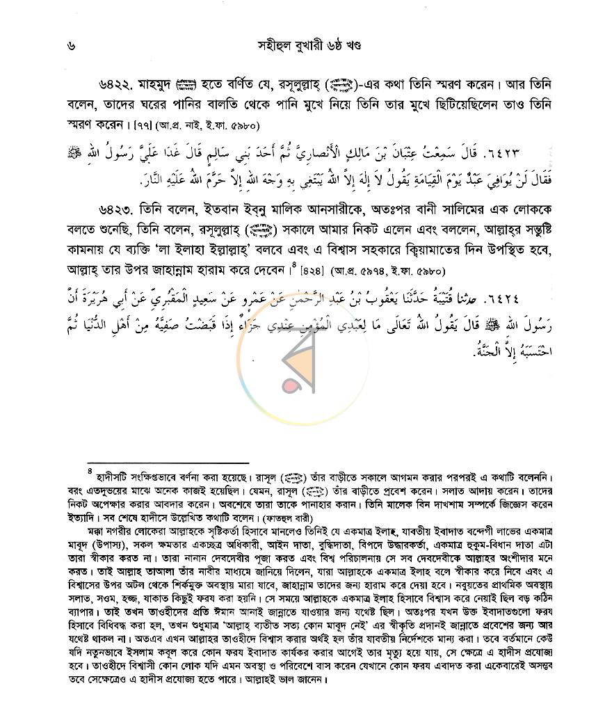 পাতা 11