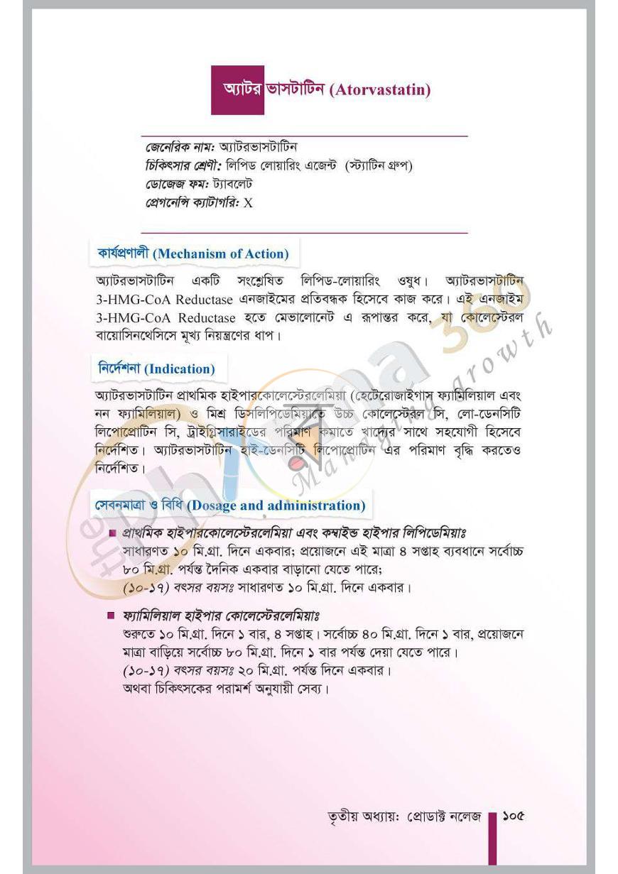 পাতা 13