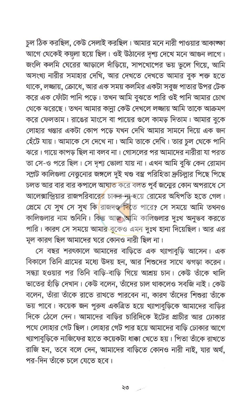 পাতা 11